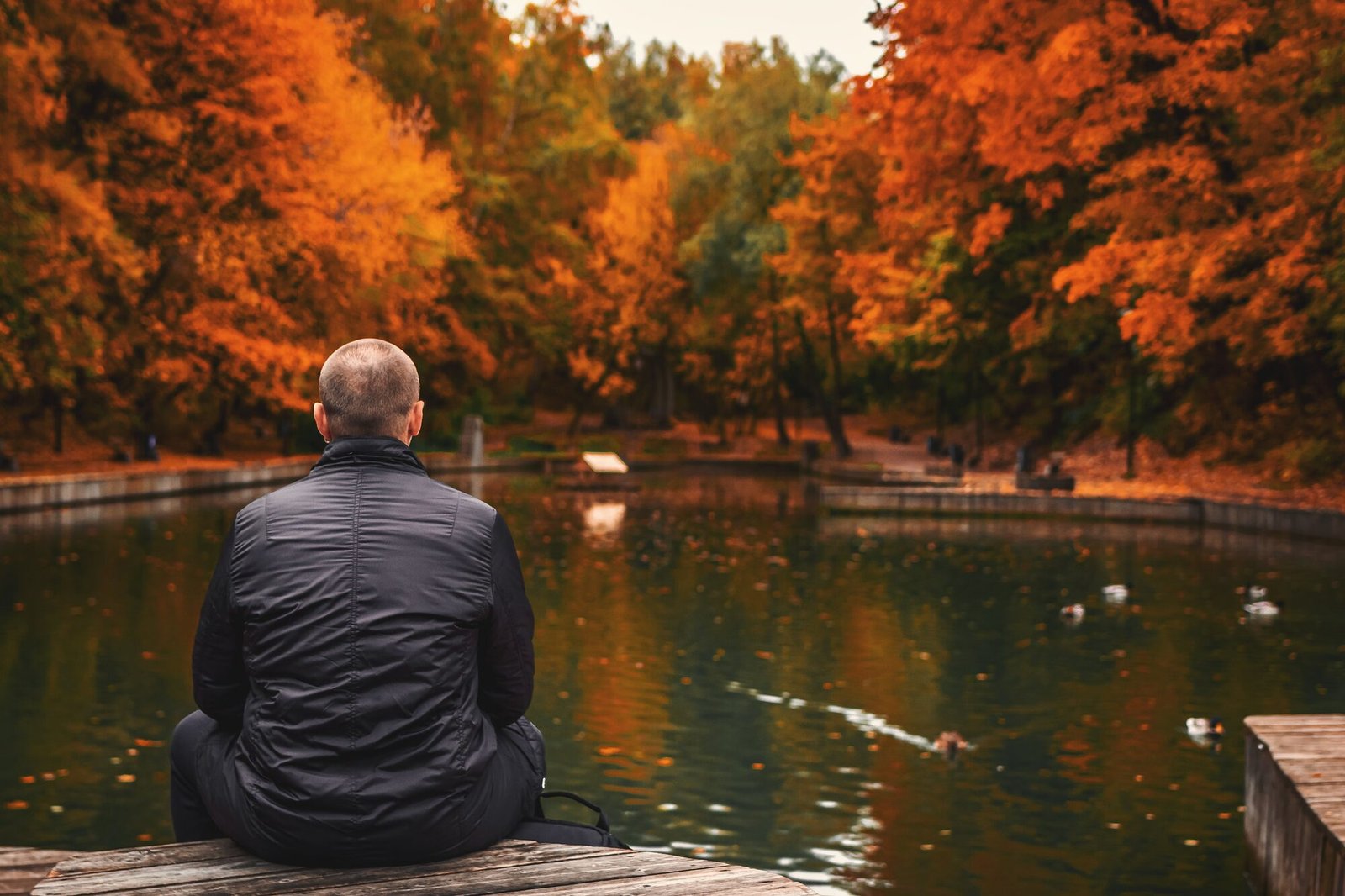 Un homme assis au bord d’un lac, en automne, de dos.